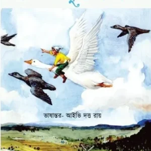 Nilser Duronto Obhijan || নীলসের দুরন্ত অভিযান