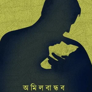 Amilbandhab || Soumyadeep Chakraborty || অমিল বান্ধব || সৌমদীপ চক্রবর্তী