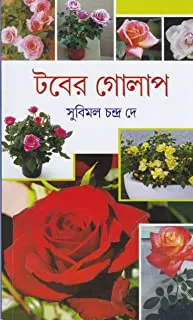 TABER GOLAP || টবের গোলাপ
