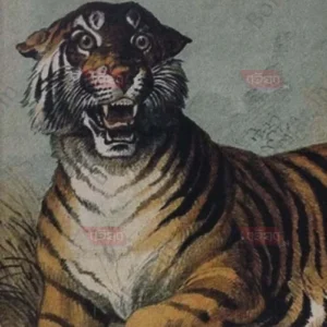 Aamar Shikar Smriti || Bijoykanta Sen || আমার  শিকার  স্মৃতি  || বিজয়কান্ত  সেন