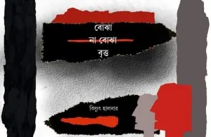 Bojha Na Bojha Britto || Biddhyut Halder || বোঝা না বোঝা বৃত্ত || বিদ্যুৎ হালদার