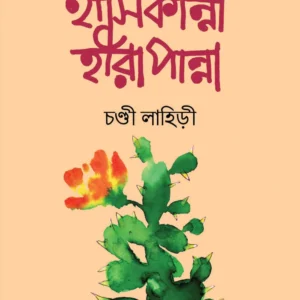 Hashi Kanna Hira Panna || Chandi Lahiri || হাসি কান্না হীরা পান্না || চন্ডী লাহিড়ী