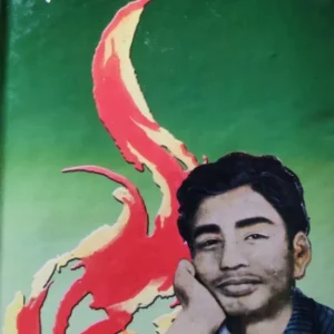 Sukanta Rachana Samagra || Sukanta Gangopadhyay || সুকান্ত রচনা সমগ্র || সুকান্ত গঙ্গোপাধ্যায়