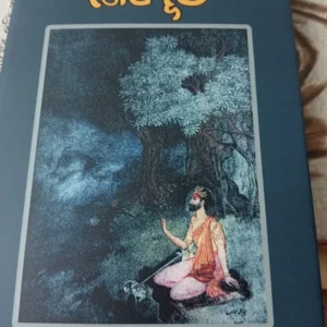 Mandakrantay Meghdut || Parthapratim Bandyopadhyay || মন্দাক্রান্তায় মেঘদুত || পার্থপ্রতিম বন্দ্যোপাধ্যায়
