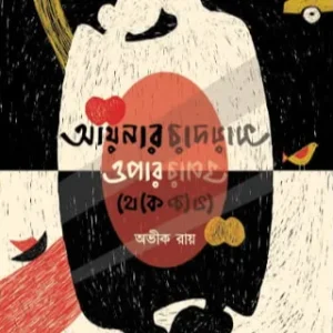 Aynar Opar Theke || Avik Ray