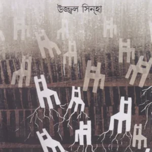 Niruddishto || Ujjal Sinha || নিরুদ্দিষ্ট || উজ্জ্বল সিন্‌হা