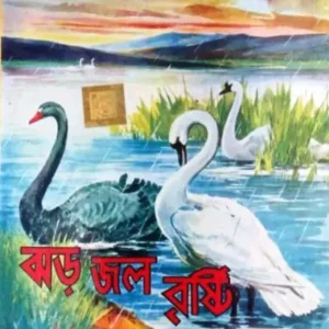 Jhor Jol Bristi || Dev Sahitya Kutir || ঝড় জল বৃষ্টি || দেব সাহিত্য কুটির