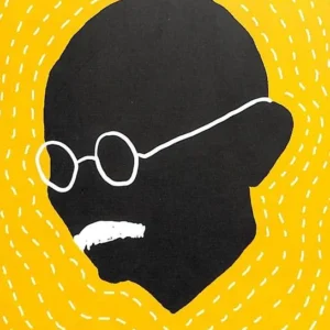 Waiting For The Mahatma || RK Narayan