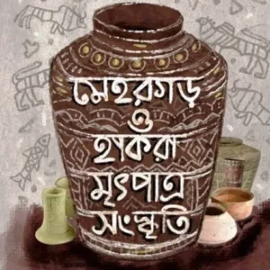 MEHRGARH HAKRA MRITPATRA SANSKRITI:PRATNATATHYA O TATWA || KRISHNENDU DAS