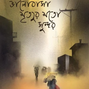 Bhalobasa Mrityur Moto Sundor । Rajaditya Bondyopadhyay । ভালোবাসা  মৃত্যুর  মতো  সুন্দর । রাজাদিত্য   বন্দ্যোপাধ্যায়
