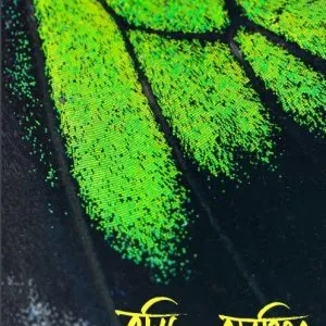 Tumi, Arakshito || Hindol Bhattacharya